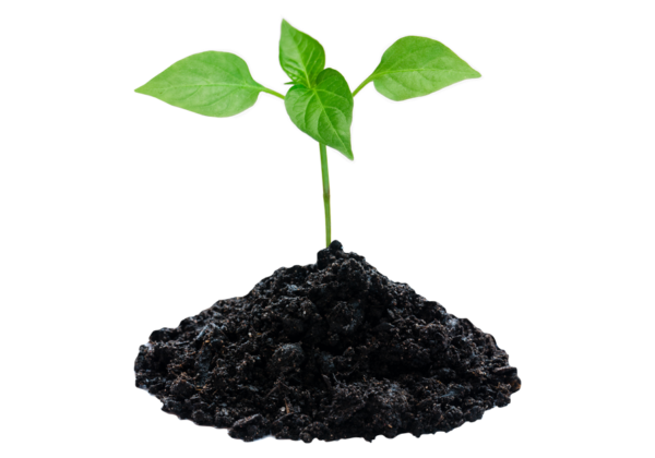 Pyrocore Producteurs De Biochar